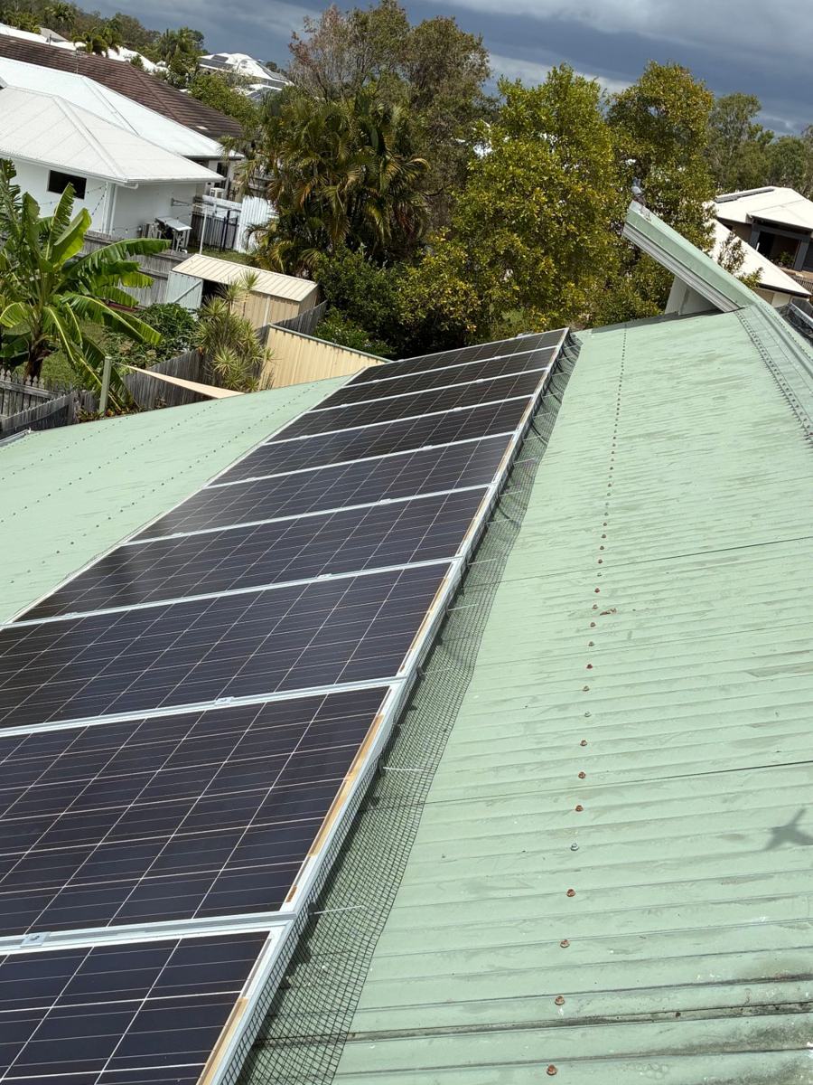 After: black bird mesh fitted along a full row of solar panels