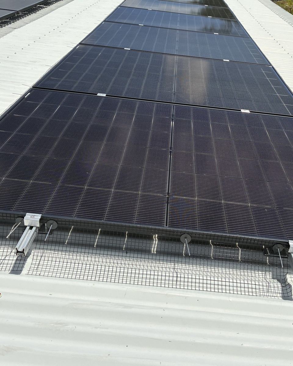 Black bird-proofing mesh clipped along the edge of a row of solar panels